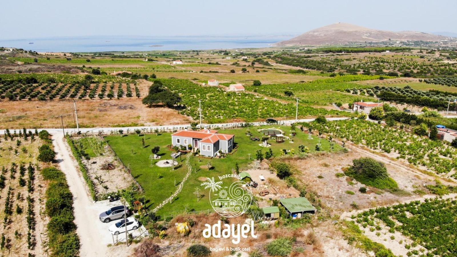 Adayel Bagevi & Butik Otel Bozcaada Eksteriør billede